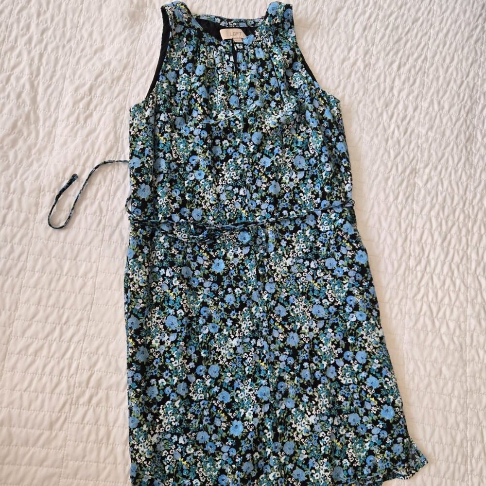 3 for $30 - Ann Taylor LOFT Beautiful Dress - Petite XXS - Picture 3 of 8
